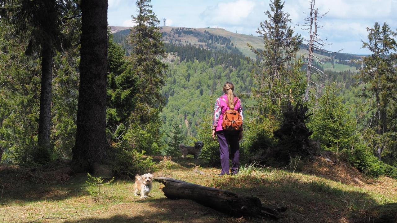 C2 Albmatte-Fewo , Hallenbad Aussenbecken Massagen Nebenan St. Blasien Extérieur photo