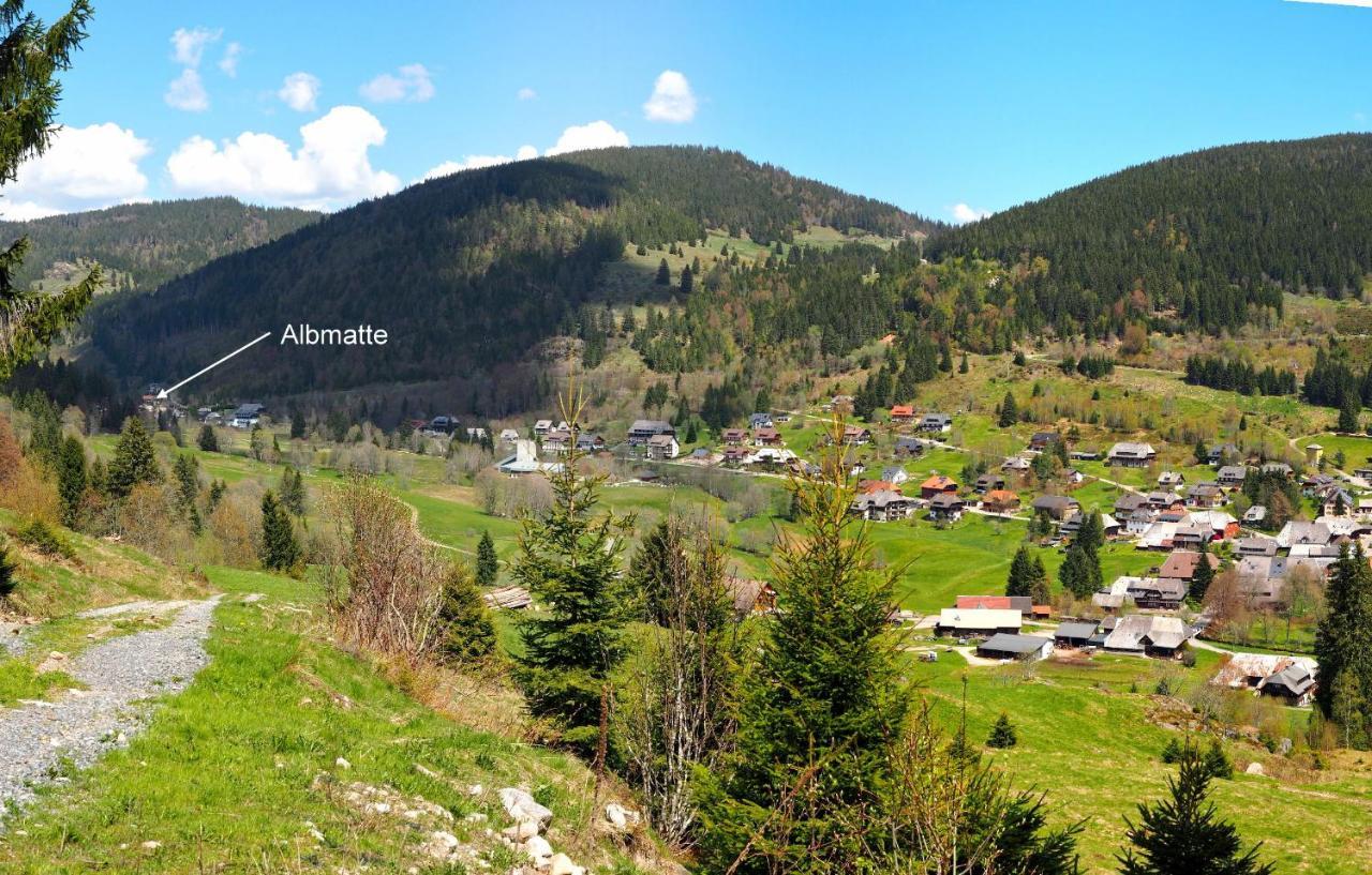 C2 Albmatte-Fewo , Hallenbad Aussenbecken Massagen Nebenan St. Blasien Extérieur photo
