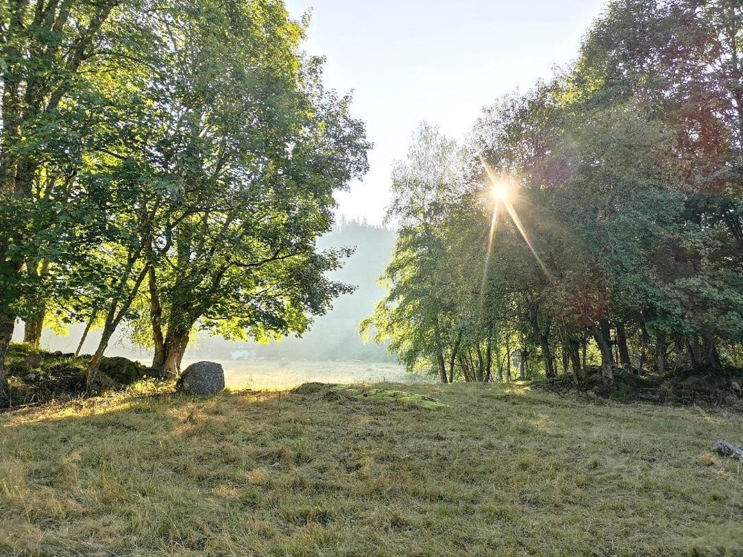 C2 Albmatte-Fewo , Hallenbad Aussenbecken Massagen Nebenan St. Blasien Extérieur photo