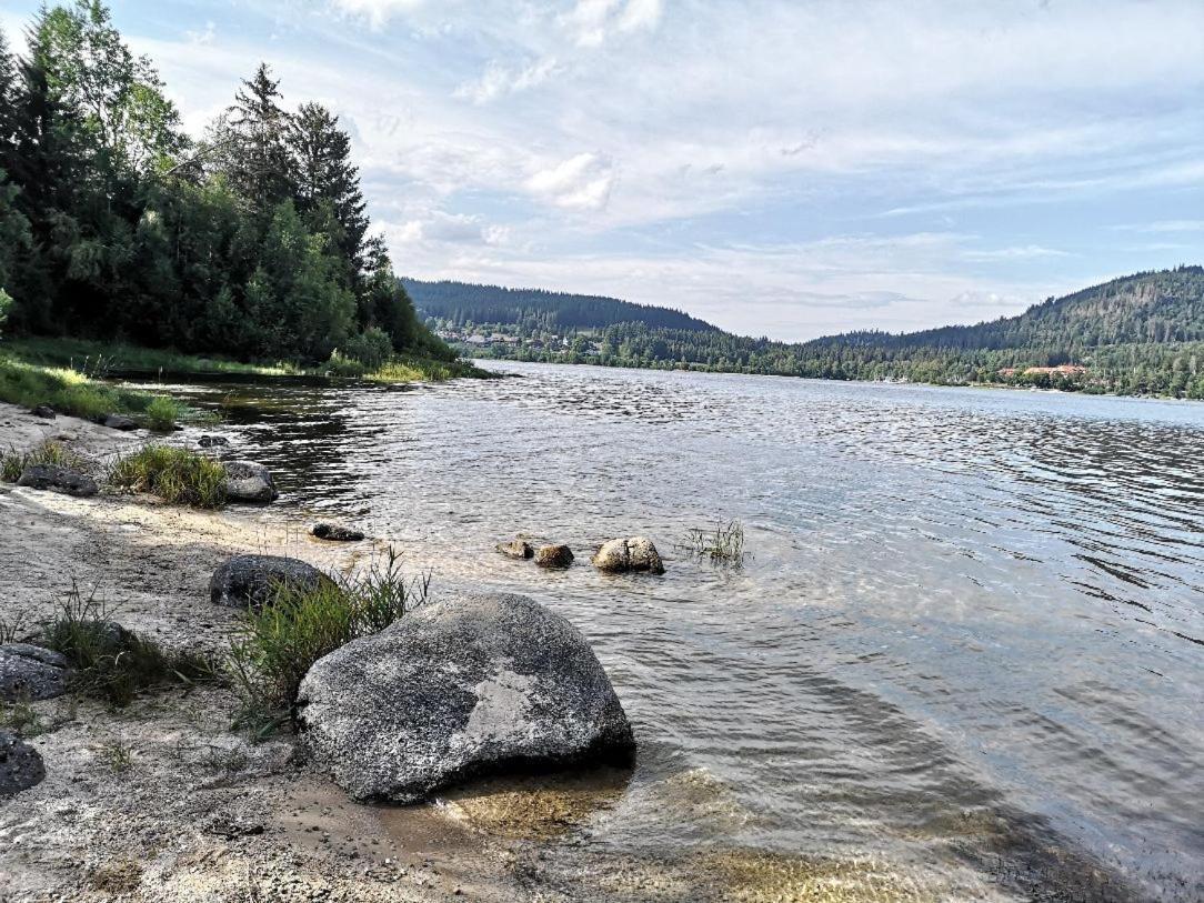 C2 Albmatte-Fewo , Hallenbad Aussenbecken Massagen Nebenan St. Blasien Extérieur photo