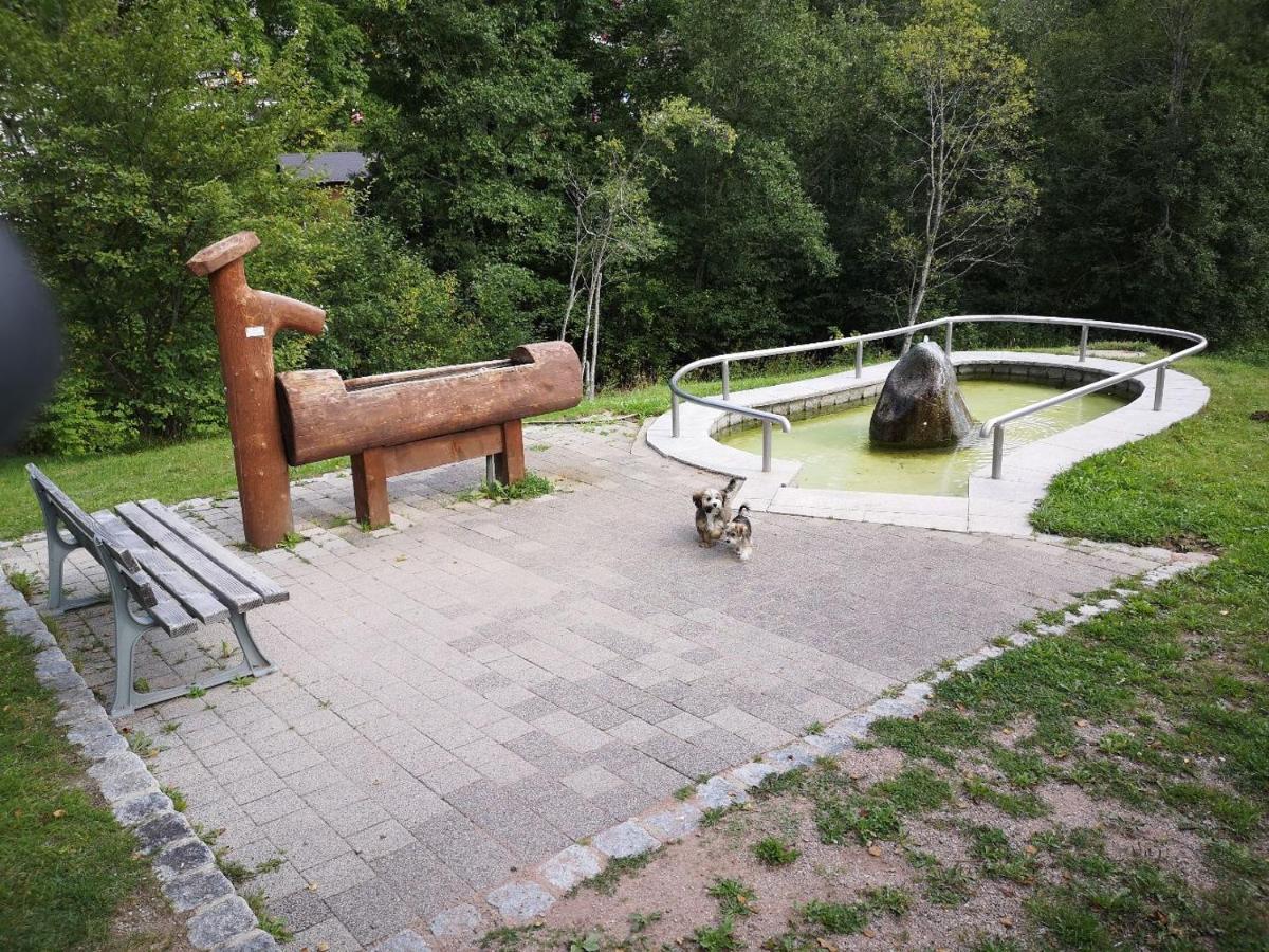 C2 Albmatte-Fewo , Hallenbad Aussenbecken Massagen Nebenan St. Blasien Extérieur photo