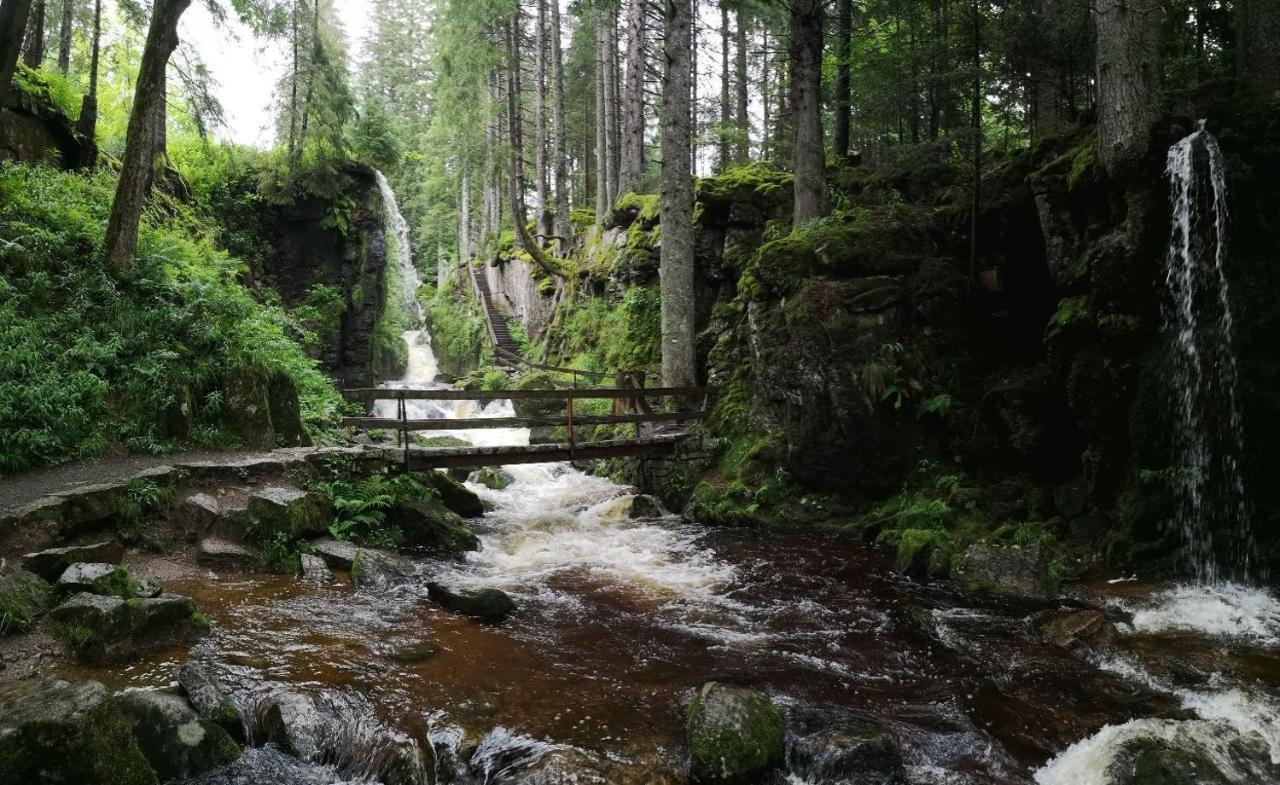 C2 Albmatte-Fewo , Hallenbad Aussenbecken Massagen Nebenan St. Blasien Extérieur photo