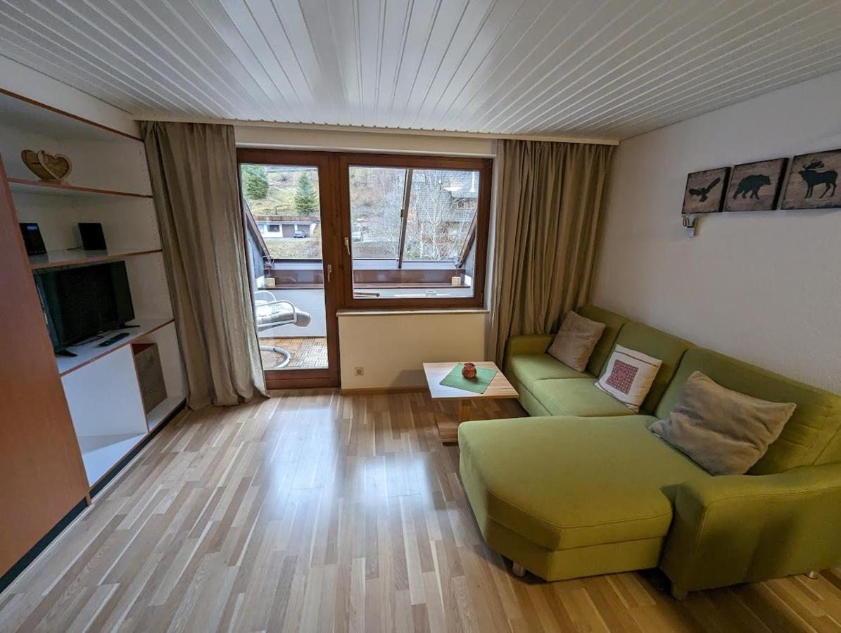 C2 Albmatte-Fewo , Hallenbad Aussenbecken Massagen Nebenan St. Blasien Extérieur photo
