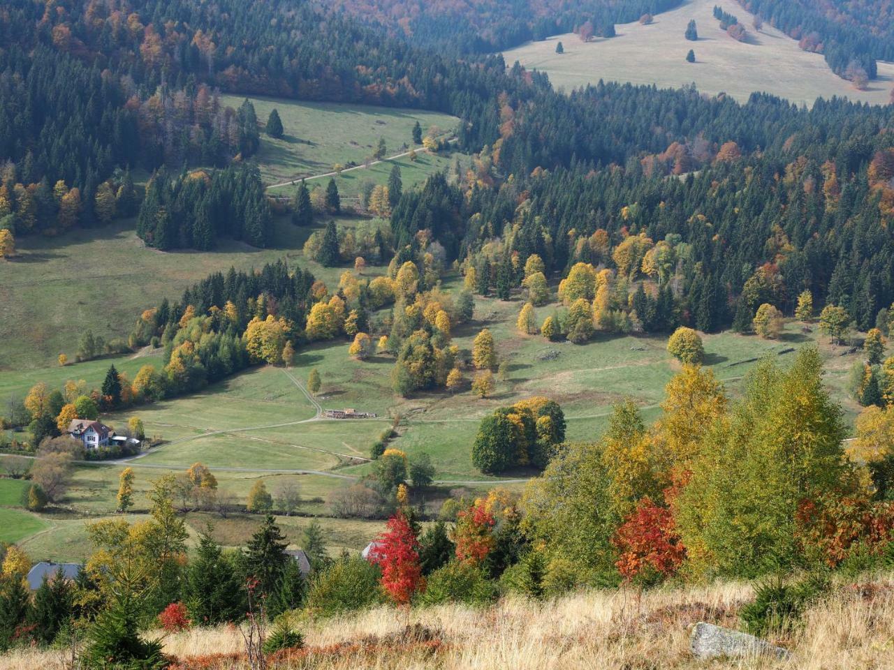 C2 Albmatte-Fewo , Hallenbad Aussenbecken Massagen Nebenan St. Blasien Extérieur photo