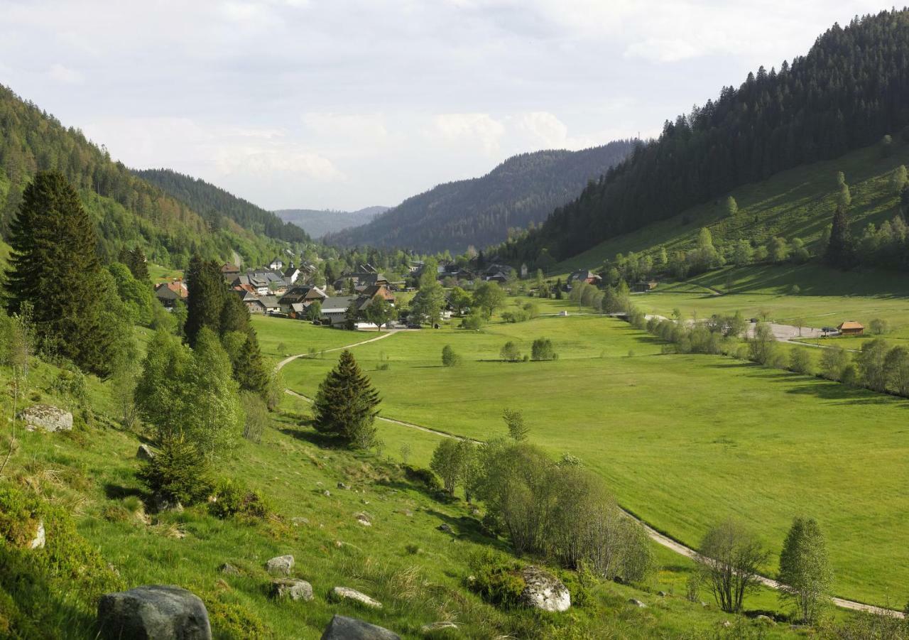 C2 Albmatte-Fewo , Hallenbad Aussenbecken Massagen Nebenan St. Blasien Extérieur photo