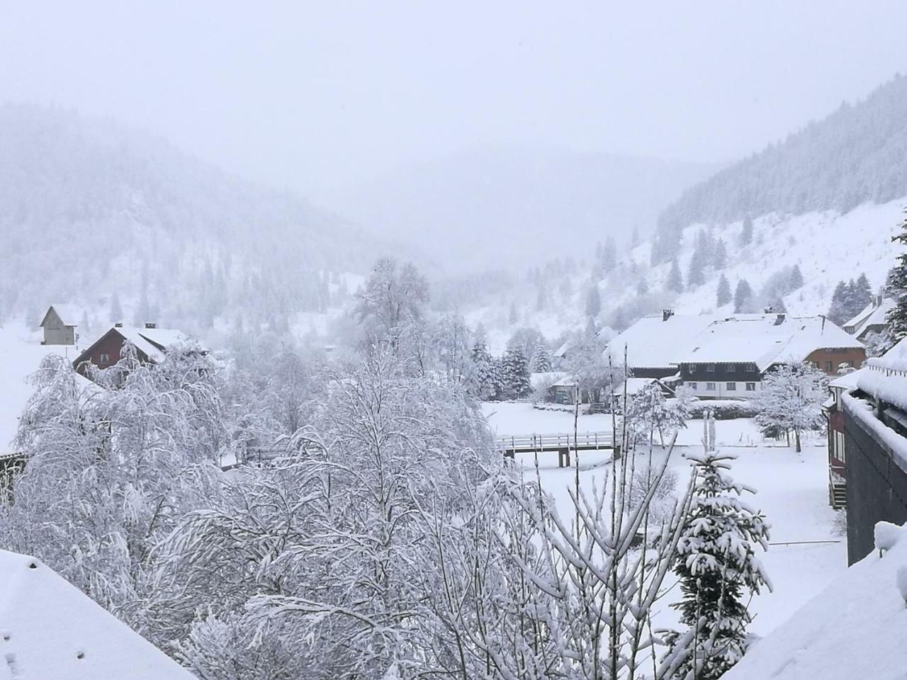 C2 Albmatte-Fewo , Hallenbad Aussenbecken Massagen Nebenan St. Blasien Extérieur photo