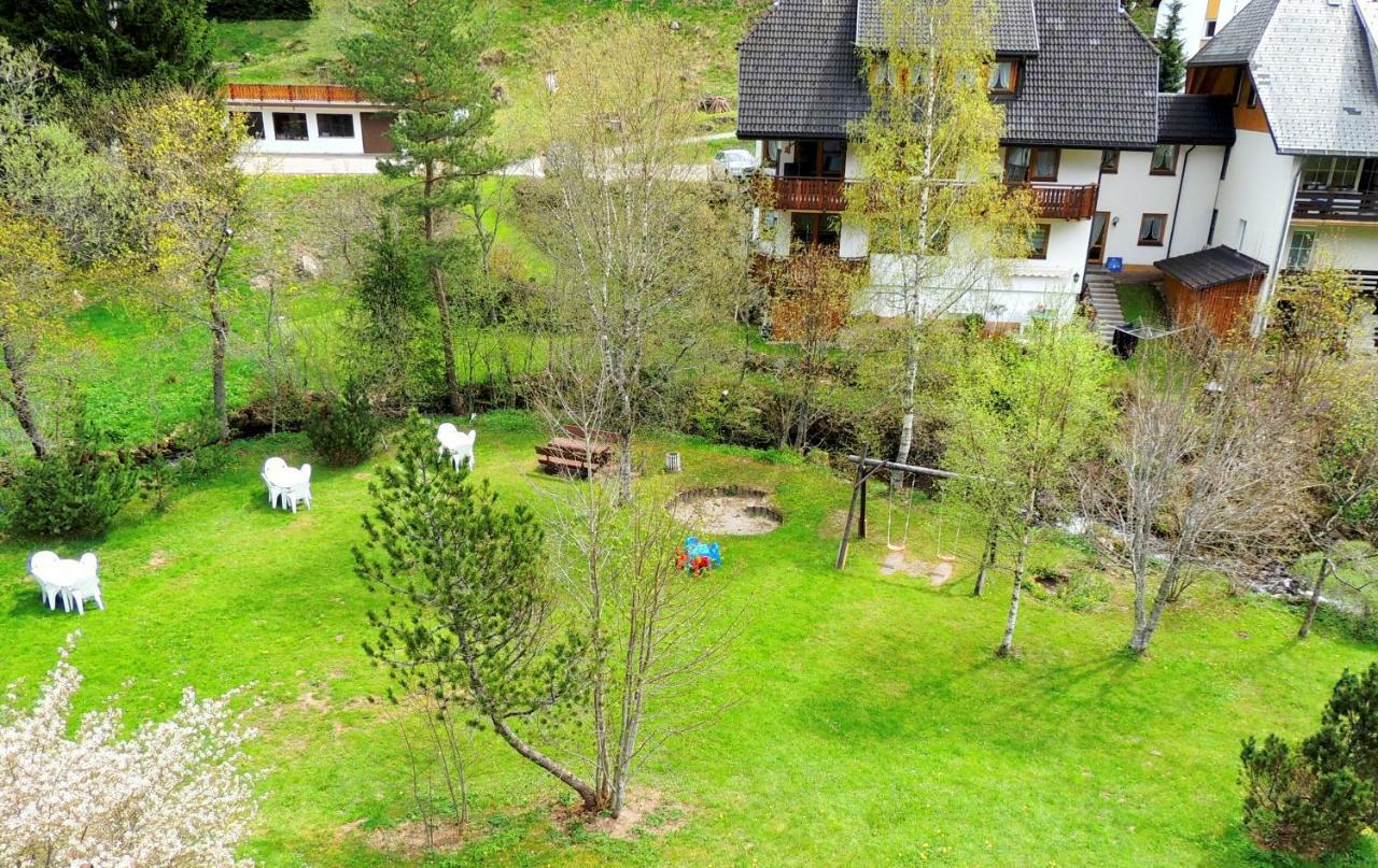 C2 Albmatte-Fewo , Hallenbad Aussenbecken Massagen Nebenan St. Blasien Extérieur photo