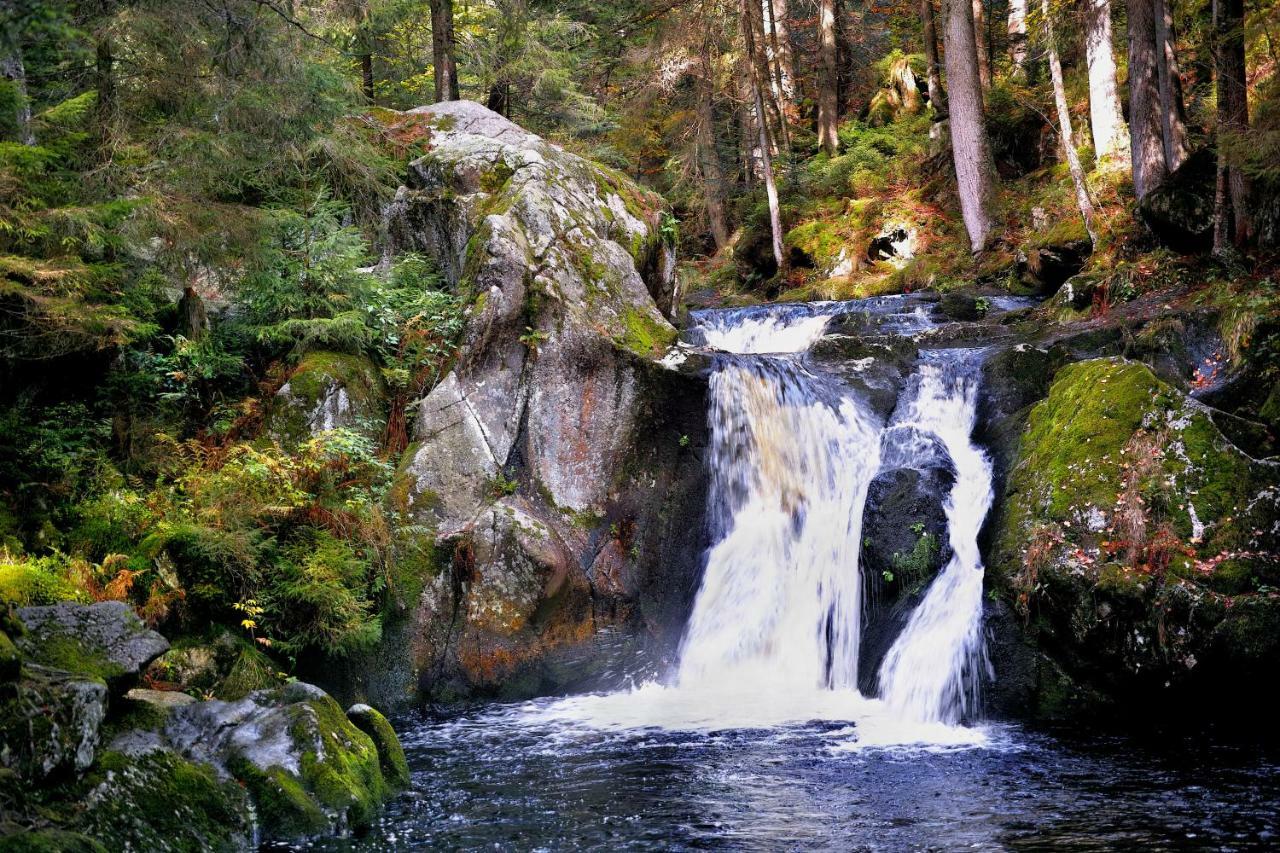 C2 Albmatte-Fewo , Hallenbad Aussenbecken Massagen Nebenan St. Blasien Extérieur photo