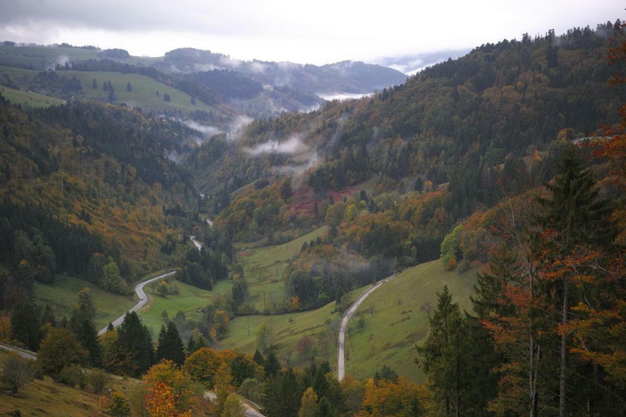 C2 Albmatte-Fewo , Hallenbad Aussenbecken Massagen Nebenan St. Blasien Extérieur photo